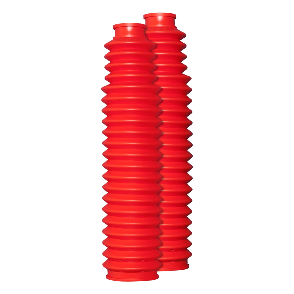 Sanfona Bengala 21 Dentes