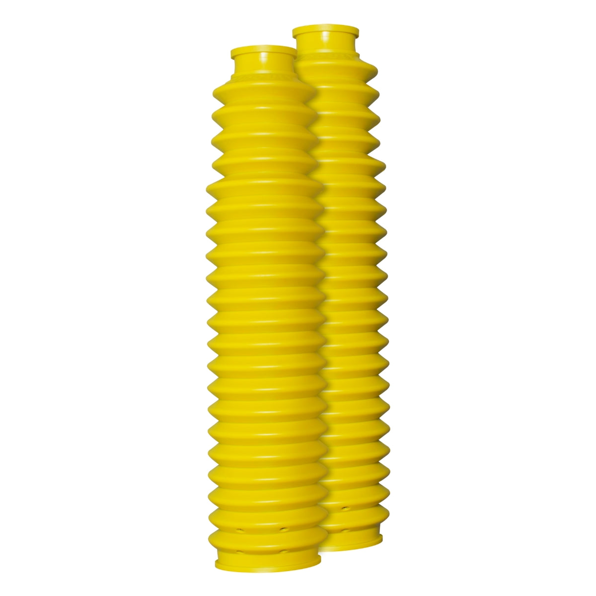 Sanfona Bengala 21 Dentes
