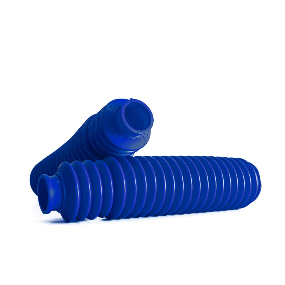 Sanfona Bengala 21 Dentes