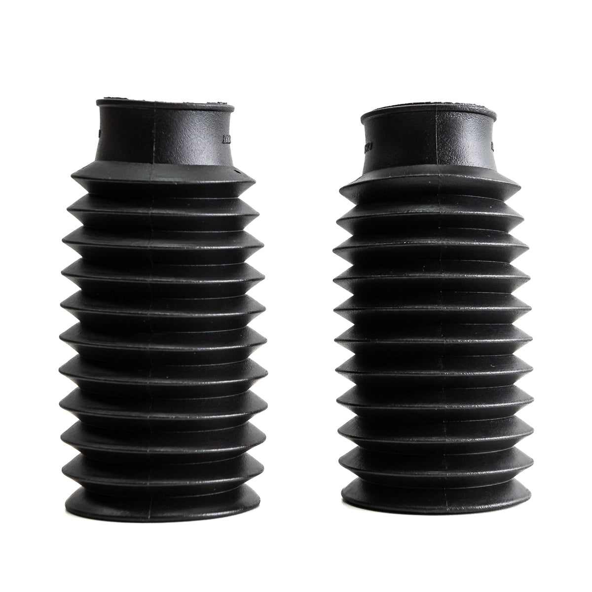Sanfona Bengala 11 Dentes