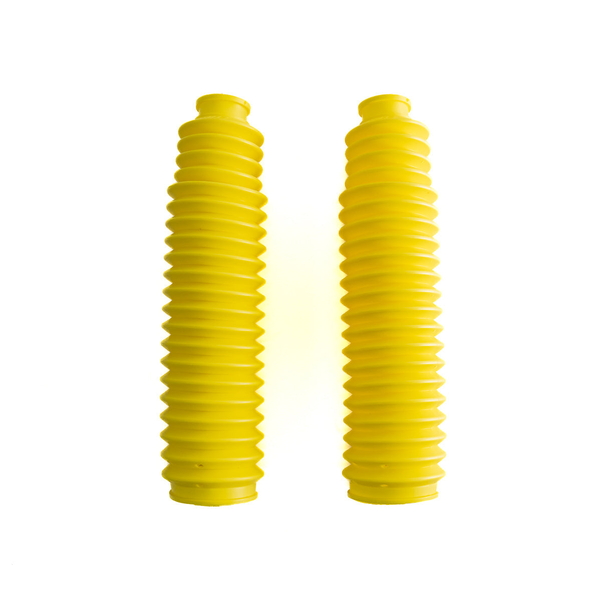 Sanfona Bengala 21 Dentes
